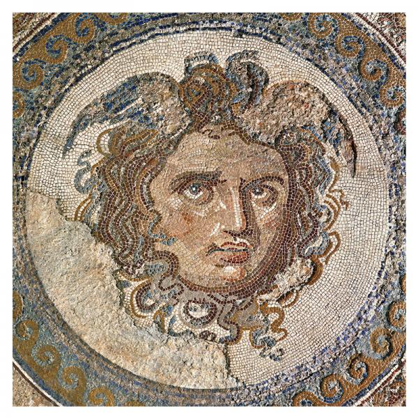 The Medusa Mosaic