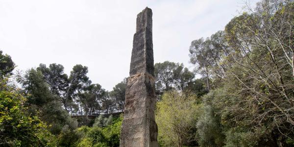 La Cantera del Mèdol se incorpora como nuevo espacio del MNAT