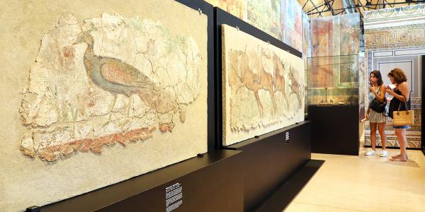 La exposición 'TARRACO/MNAT' se despedirá el 28 de junio para el traslado al Museo Arqueológico de Tárraco