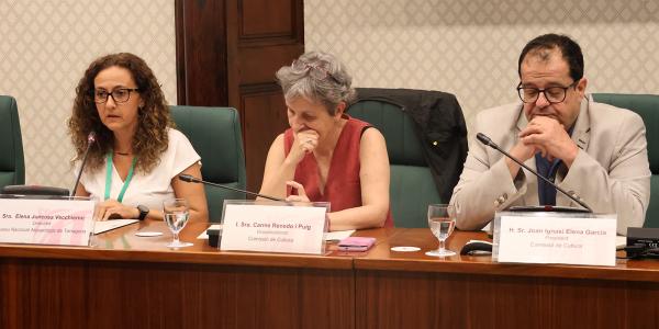 Compareixença de la directora del MNAT al Parlament de Catalunya sobre la Pedrera del Mèdol